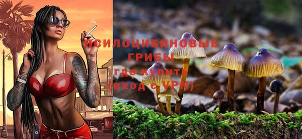 Альфа ПВП Приозерск