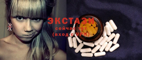 твердый Протвино